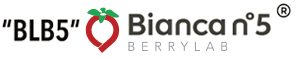 Blb5-Biancan5
