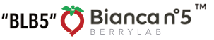 Blb5-Biancan5